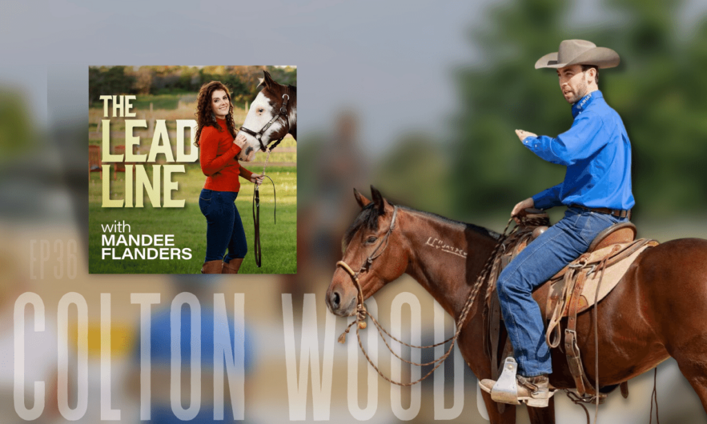 Colton Woods Horse Trainer