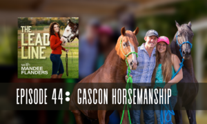 Gascon Horsemanship