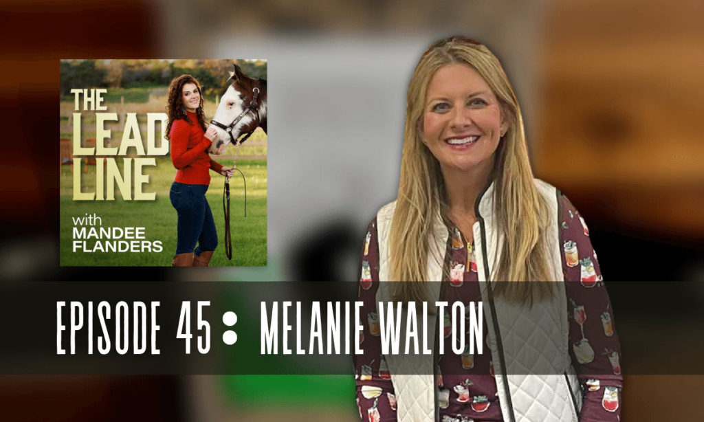 45. How to Confidently Get Your Equine Product into Tack Stores with Melanie Walton